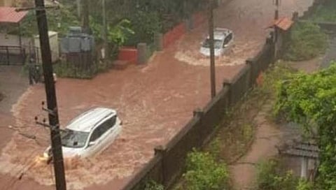 गोव्यात ९ जुलैपर्यंत मुसळधार पाऊस : हवामान विभागाचा अंदाज