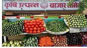 पुणे : 181 बाजार समित्यांमध्ये प्रशासकराज? तोट्यामुळे आर्थिक निधीची वानवा