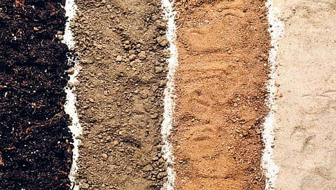 जमिनीचा रंग पाहताय ना?