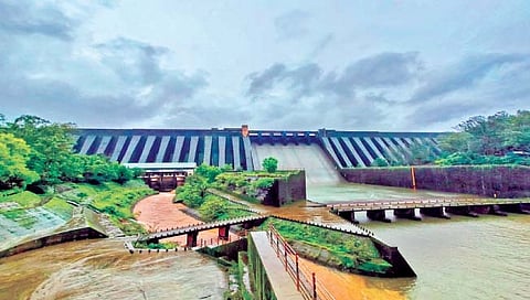 MSEDCL strike : वीज कर्मचारी संपाचा फटका, कोयना धरण पायथा वीजगृहातील दोन युनिट बंद