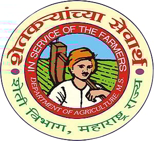 पुणे : मुख्यमंत्री शाश्वत कृषी सिंचन योजनेतून पूरक अनुदानासाठी तब्बल 168 कोटी