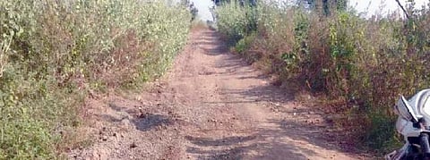 जामखेड : पाणंद रस्ते अडकणार चौकशीच्या फेर्यात?