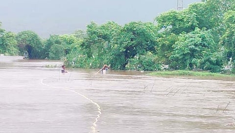 रायगड : आंबा नदीच्या पलीकडे अडकलेल्या ६ तरुणांना वाचविण्यात यश