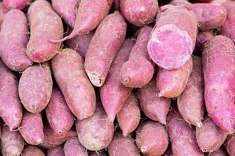 पिंपरी : आषाढीनिमित्त बाजारात भुईमूग, रताळ्याची आवक