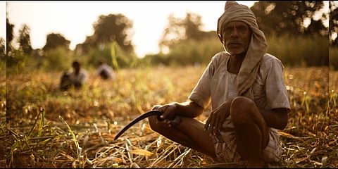 पीकविम्याकडे शेतकर्यांनी फिरवली पाठ! नगर जिल्ह्यात 12 लाख खातेदार