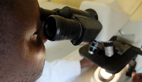 घानात फैलावतोय मारबुर्ग व्हायरस; आतापर्यंत दोघांचा मृत्यू