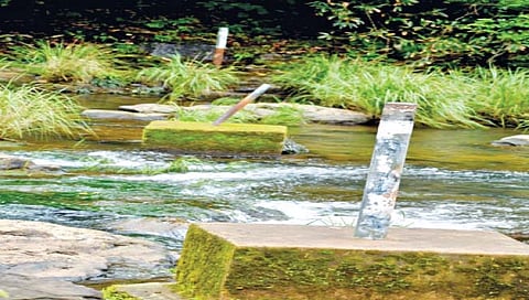 गोवा : कळसा प्रकल्पासाठी कर्नाटकचा नवा डाव