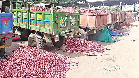 नाशिक : कांद्याची 20 दिवसांतच 50 टक्क्यांनी घसरण