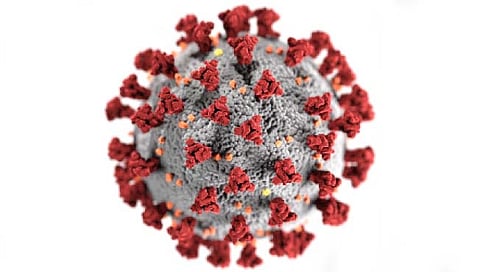 नाशिक : जिल्ह्यात ‘एच3एन2’चा आणखी एक रुग्ण