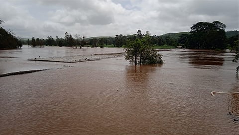भोगावती नदीच्या पुराखाली गेलेल्या शिरगाव ते आमजाई व्हरवडे दरम्यानच्या पुलाचे छायाचित्र