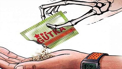 सप्तशृंगी गडावर कोडवर्डमध्ये गुटखा विक्री, पोलिसांच्या कारवाईकडे लक्ष