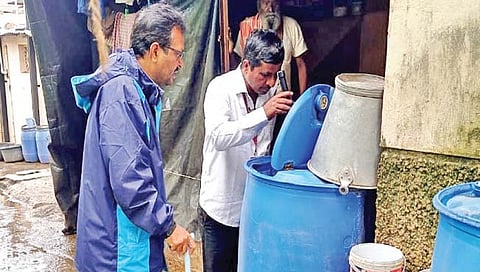 सातारा : डेंग्यूचे 106 तर चिकुनगुनियाचे 29 रुग्ण