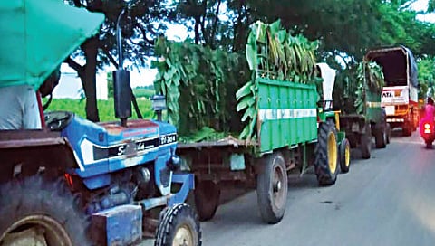 जळगावला रेल्वे वॅगन्सअभावी केळीला फटका