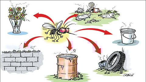 नाशिक : शहराला डेंग्यूचा डंख; रुग्णसंख्या चारशेपार