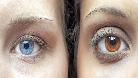 काहींचे डोळे निळे तर काहींचे तपकिरी का?
