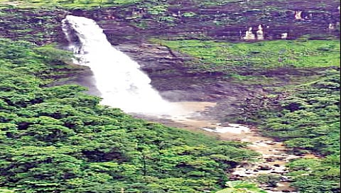 नाशिक : ‘त्या’ घटनेनंतर नाशिक जिल्ह्यातील धोकादायक पर्यटनस्थळांवर पुन्हा बंदी