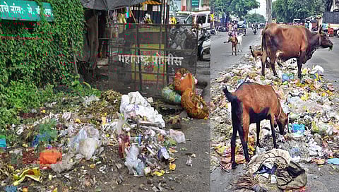 Nashik : स्वच्छ, सुंदर, हरित नाशिक ओळख आता खरोखरी? पंचवटीत ठिकठिकाणी कचरा, गाळ अन् चिखल!