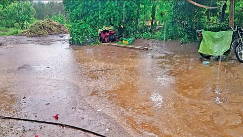 पंढरपूर शहर, तालुक्यात दमदार पाऊस