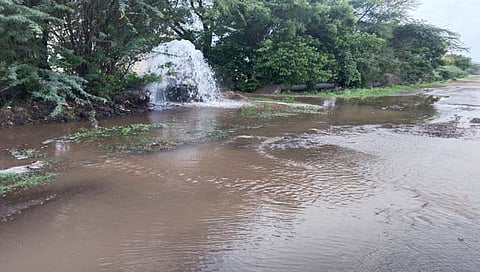 सांगोला : नळ पाणीपुरवठा योजनेला वासूद गावाजवळ गळती; अधिकाऱ्यांचे दुर्लक्ष