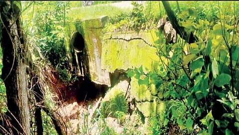 सातारा : पाचुपतेवाडीजवळील पूल धोकादायक