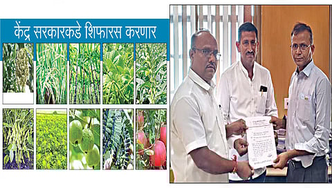 कृषी विभागाचे प्रधान सचिव एकनाथ डवले यांच्या अध्यक्षतेखाली मुंबईत झालेल्या राज्य बियाणे उपसमितीच्या ५२ व्या विशेष बैठकी