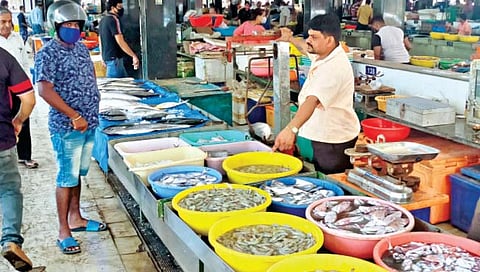 गोवा : ताज्या मासळीसाठी खवय्यांची गर्दी