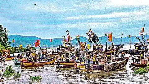 fish shortage coastal