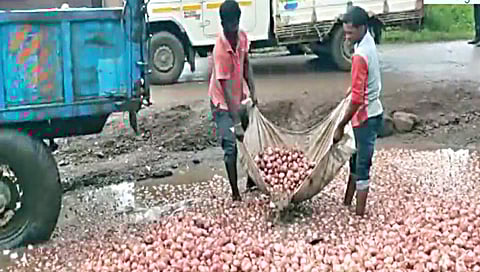 लासलगाव : खड्ड्यांमुळे ट्रॉली उलटली आणि 30 क्विंटल कांदा पाण्यात भिजल्यानंतर तो काढण्यासाठी सुरू असलेली मजुरांची धावपळ. (छाया: राकेश बोरा)