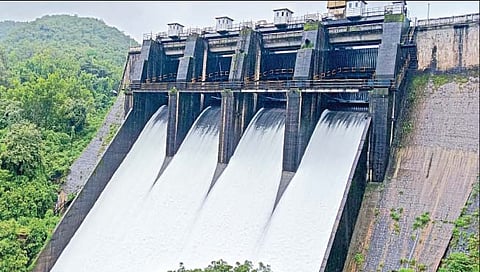 चांदोलीचे चारही दरवाजे उघडले