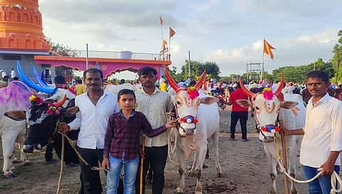 शेतकरी राजाच्या आनंदाला उधाण, बैलपोळा उत्साहात साजरा