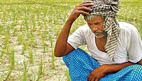 सातारा : शासनाच्या निकषाचा बहुतांश शेतकर्यांना तोटा