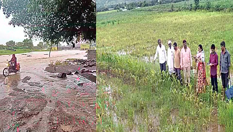 नाशिक : श्रीपूरवडेत ढगफुटीसदृश पर्जन्यवृष्टी; शेती पिकांचे नुकसान