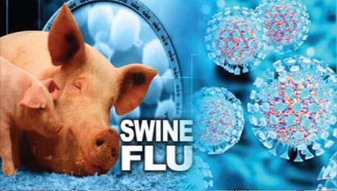 सांगली : जिल्ह्यात स्वाईन फ्लूचे 7 रुग्ण