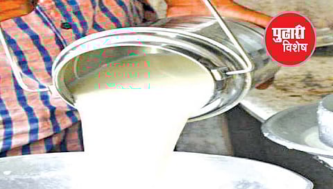 मार्चपासून मुंबईत दूध दरवाढ; सुट्टे दूध ९५ रुपये लिटरने घ्यावे लागणार विकत