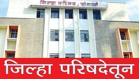 सांगली : स्वाईन फ्ल्यू नियंत्रणासाठी 88 पथके