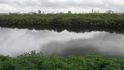 मिठी नदी