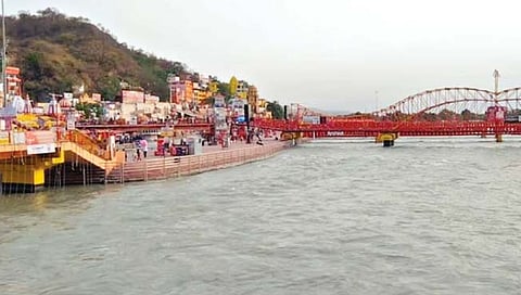 गंगेतील उपयुक्त जीवाणू होत आहेत नष्ट