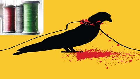 नाशिक : नांदगावी नायलॉन मांजा विक्रेत्यांवर तडीपारीचा बडगा