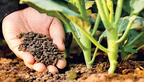 हिरवळीच्या खताचे फायदे