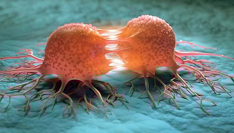 कर्करोगासाठी ‘ही’ दोन कारकेही जबाबदार