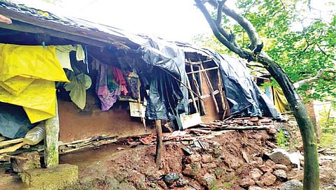 रत्नागिरी : जिल्ह्यात संततधार, गुहागरमध्ये पडझड ; मच्छिमारांना समुद्रात न जाण्याचा सल्ला