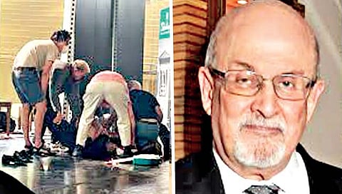 साहित्य : द्वेषाची पाळेमुळे किती खोल?