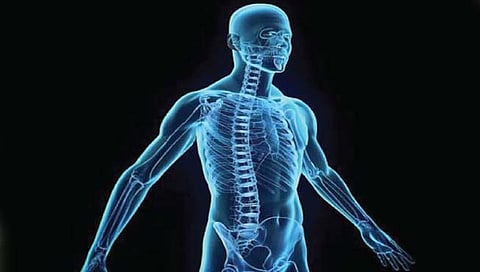 मानवी शरीराच्या आश्चर्यकारक गोष्टींची माहिती