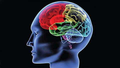 Cardiovascular : मध्यम वयातील मेंदूचे आजार ठरतात घातक, जाणून घ्या नवीन संशोधनातील माहिती