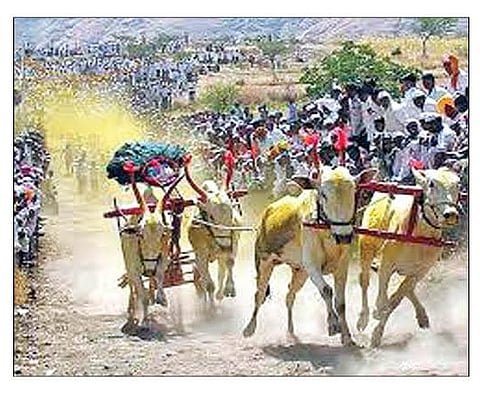 मंचर : बैलगाडा शर्यतीमध्ये टोकनच्या नावाखाली लूट