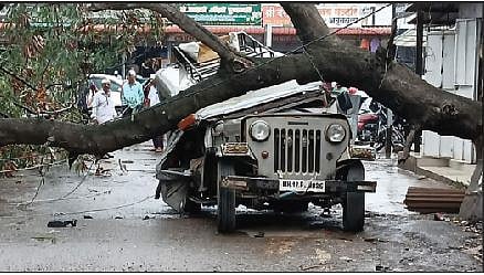 धोकादायक सुभाबळीचे झाड खासगी प्रवासी जीपवर पडले