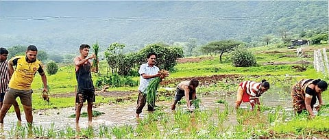 Monsoon Update : शेतकऱ्यांसाठी चिंतेची बातमी! मान्सून १५ दिवस आधीच घेणार निरोप, हवामान विभागाचा अंदाज