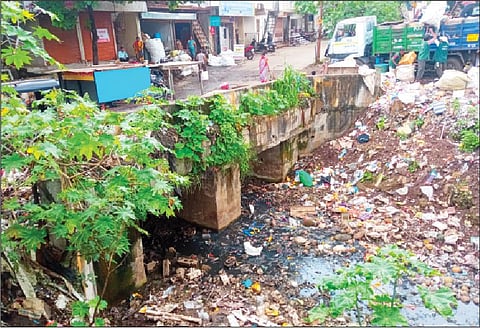 राजमाता जिजाऊनगरजवळील नाल्याची दुरवस्था.