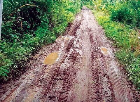 सुलतानपूर रस्त्यावरील जुना बैल बाजार ते चिंचोटी मळा रस्त्याची झालेली दुरवस्था.