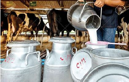 वाल्हे : गायीच्या दुधाला हवा 50 रुपये दर